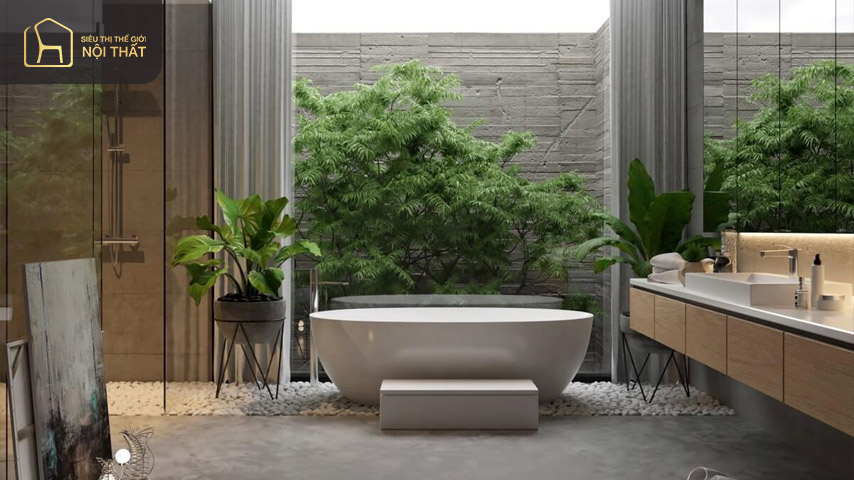 Mẫu nhà vệ sinh, phòng tắm với nội thất đơn giản