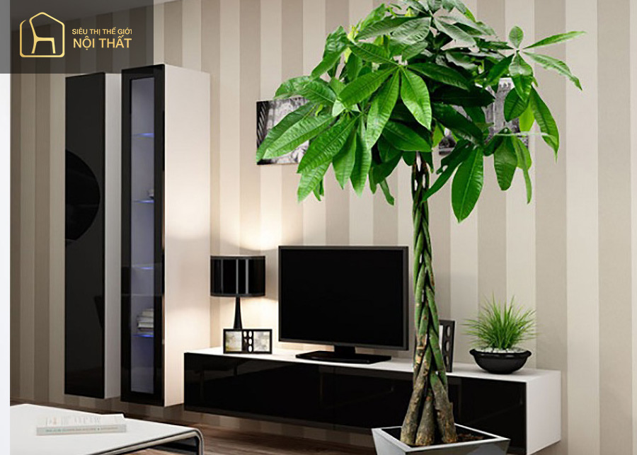 Cây kim ngân là đại diện cho sự kiên định