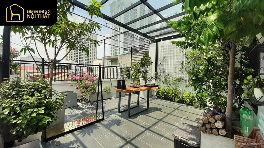 Trồng cây trên sân thượng