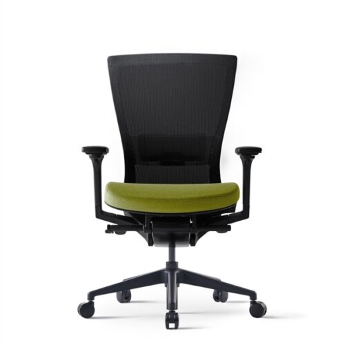 Ghế lưng trung RADE120-4MR