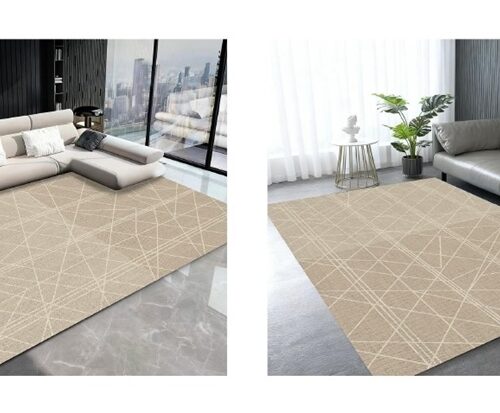 Thảm vải nhung đáy viền Cotton và Silicon DT17