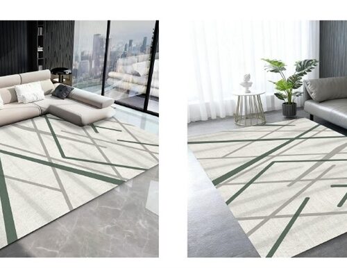 Thảm vải nhung đáy viền Cotton và Silicon DT36