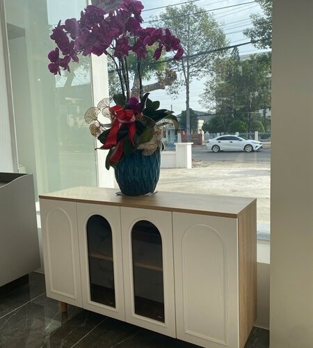 TỦ TRANG TRÍ 01